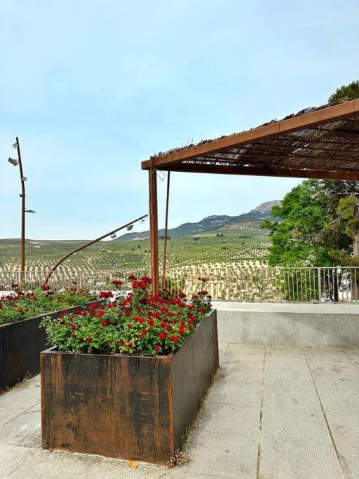 Los Molinos Quesada Eksteriør billede